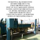 동양카독크 이미지