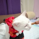 뭉치쌀롱 이미지