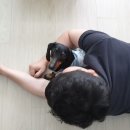 형아네집 이미지
