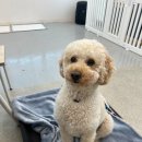 달콤체육관 이미지