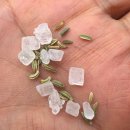 이수프라자 앞 인도 | 시흥 신천역 인도네팔 정통요리 커리맛집 빠띠바라 후기