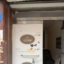 퍼피짱 대도점 | 송파실내애견카페 꼬또로몽 주차부터 멍푸치노 이벤트까지 즐기고옴