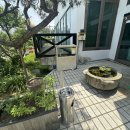 정일품삼계탕 이미지