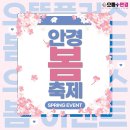 봄 안경 콘텍트 이미지