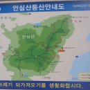안심산 둘레길 이미지