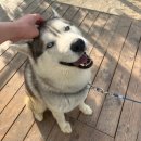 스테이오로지 이미지