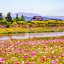 황룡강변2 이미지