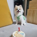 새콤달콩 이미지