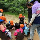 오음초병설유치원 이미지