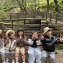 가을 열매로 알록달록 팔찌 만들기🍂🌰🍁 이미지
