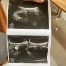 시계탑리즈여성의원 이미지