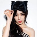 맹맹 Daum카페