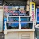 새통영횟집 이미지