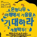 원도심 은행나무 이미지