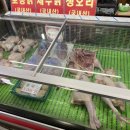 청호닭집
