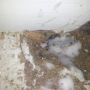 대일종합가스설비 이미지