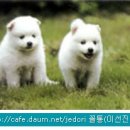 화목종합동물병원 이미지