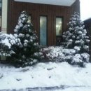 챔피언펜션 이미지