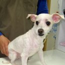 사우동골 이미지