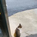 오케이디씨마트