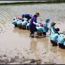 큰빛자연생태어린이집 이미지