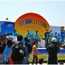 청산도봄 이미지