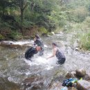 시온 민박 이미지