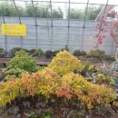 금강농원 이미지