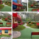 중부대로681번길 이미지