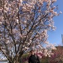 동화펜션 이미지