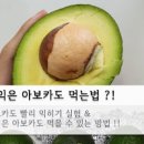 아보카도 후숙 빨리 꿀팁! 아보카도 빨리 익히기 아보카도 숙성 방법 이미지