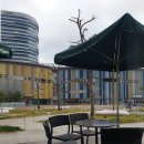 새미약국 이미지