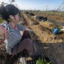 수현2농장 이미지