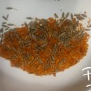 괴정농장 이미지