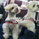 GS25 역삼대홍점 이미지