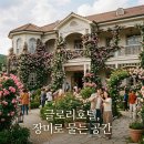 장미꽃길 | 논산 선샤인스튜디오 장미꽃길, 드라마 팬이라면 설렐 수밖에 없는 풍경!