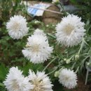 수서농장 이미지