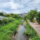 양지3교 이미지