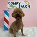 컴피 화명점 이미지