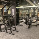 알파 사우나 이미지