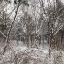 北風寒雪 (챌봉-한강봉-은봉산) 이미지