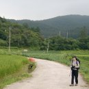 호남정맥 종주(9) < 그럭재- 반섬산- 봉화산- 봇재- 활성산- 삼수마을> 이미지