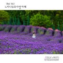 사랑카페 이미지
