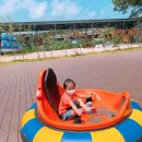 축산항초등학교병설유치원 이미지