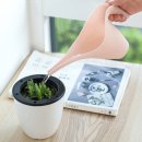 원예가드닝 이미지