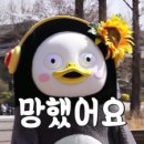 솔솔바람 이미지