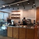 헬로퍼피1 이미지