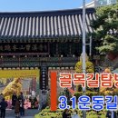 3.1운동길B 이미지