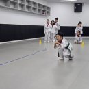 자이스타태권도장 이미지