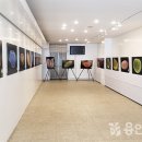 백두대간 자생씨앗 아름다움에 반하다 이미지